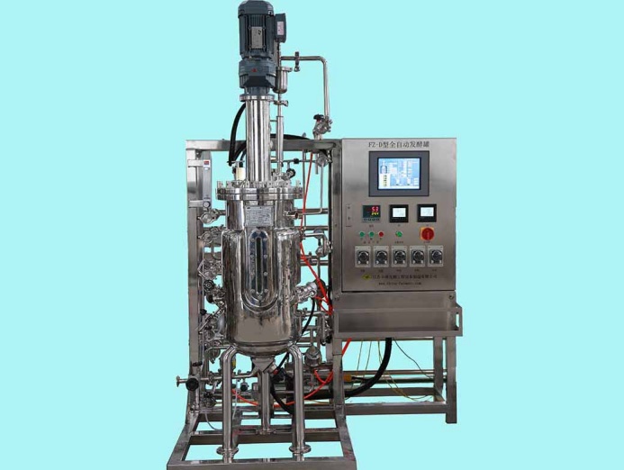 FZ-D型50L发酵罐